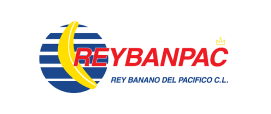 REYBANPAC