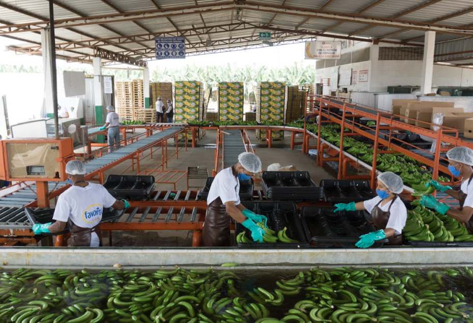 Reybanpac Pioneros en nuevos mercados